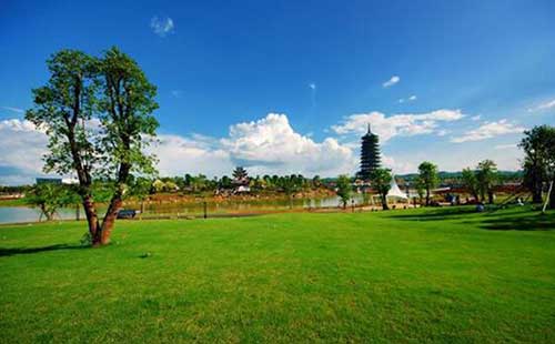 |@D(zhun)уЈɑ]ˆ᣿Dģ